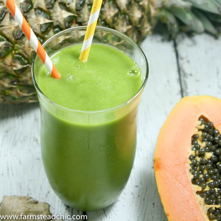 This Pineapple Papaya Green Smoothie is a true tropical treat. The pineapple and papaya make it sweet and luscious while the ginger keeps things exciting.