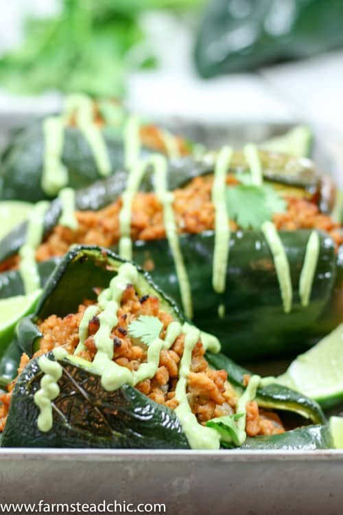 These Chipotle Lime Chicken Stuffed Poblano Peppers are a Mexican fiesta in your mouth. The spicy ground chipotle, slightly sweet + tangy lime juice and smoky poblanos create a mouthwatering combo. Did I mention they are Paleo and Whole30-compliant?