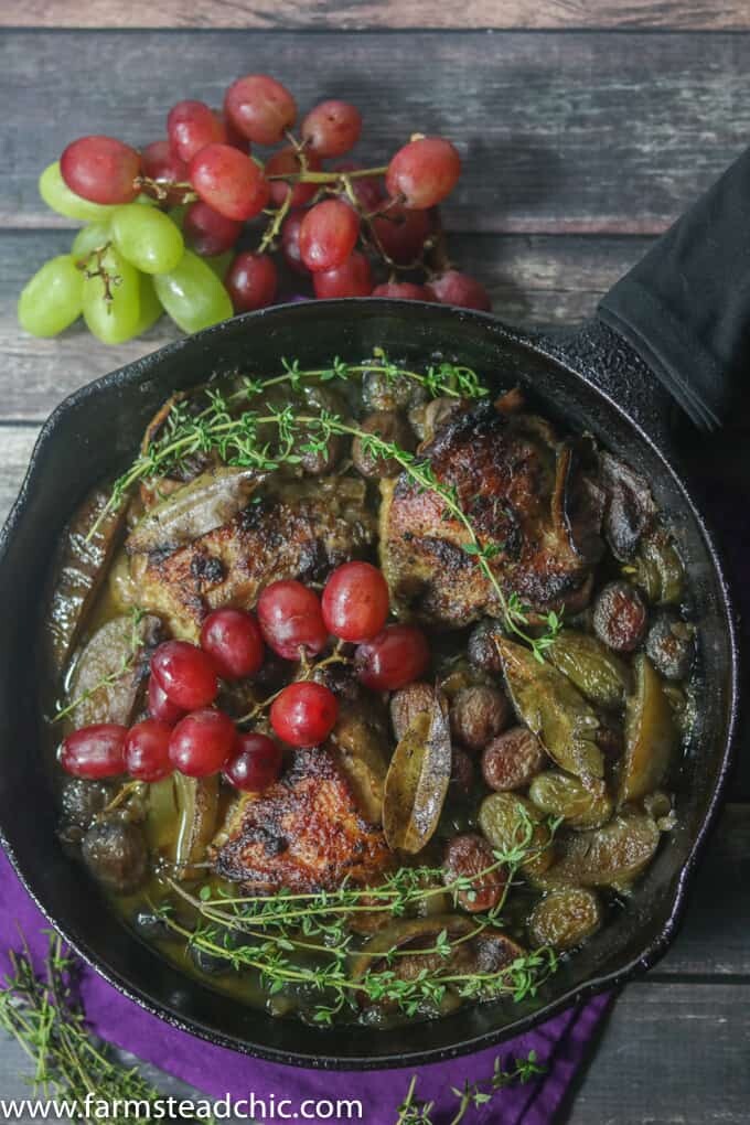 This Paleo and Whole30 Chicken Thighs with Roasted Apples and Grapes is a quick and easy one-skillet wonder perfect for a chilly autumn weeknight.
