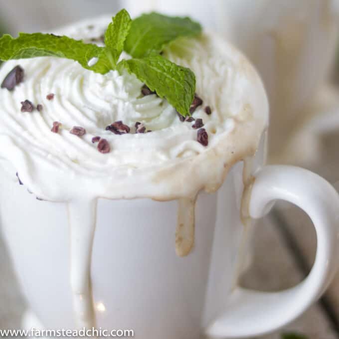 This Paleo and Whole30 Peppermint Mocha Latte is Christmas in a cup. You only need four ingredients for this healthy, vegan, dairy-free holiday treat.
