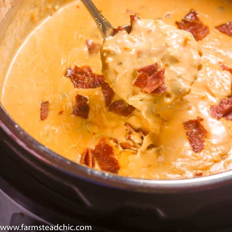 Keto Instant Pot Buffalo Chicken Bacon Soup